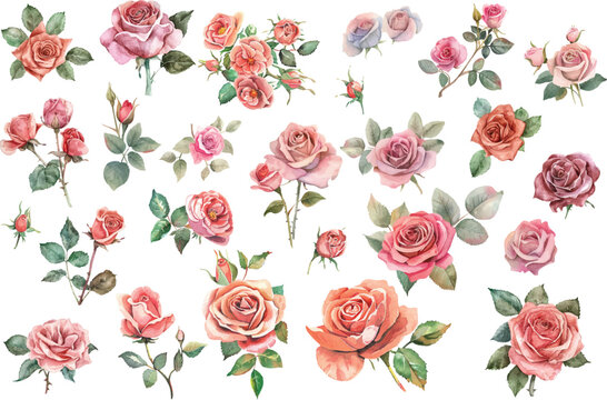 Set of colorful flowers in watecolor style