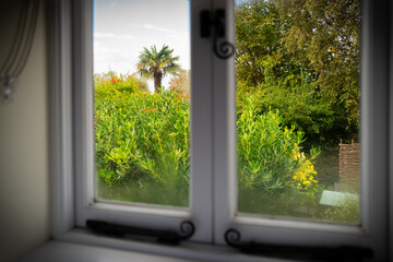Cottage bedroom window with a view to a lush English garden with a distant, tall palm tree seen on the Suffolk coast. The cottage is used as a holiday let in the summer months.