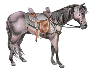 Haorse illustration isolated on a white backgrounf.Watercolor horse painting. Rodeo concepr design. © Victoria