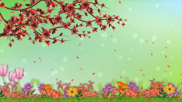 Spring season animation with beautiful and colourful flowers. Landscape animation of spring flowers.