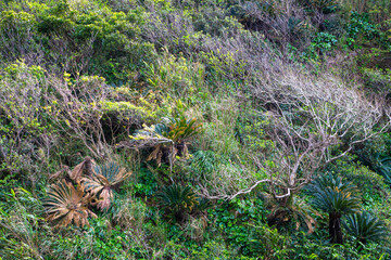 冬から春への衣がえ