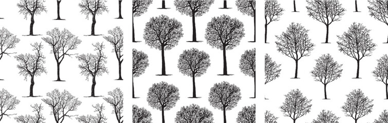 Trees bare deciduous silhouettes, hand drawings,seamless pattern, vector background, paper,wallpaper - 759655631