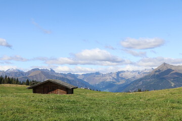 peaceful landscape with green mountain meadow, brown wooden hut and blue mountain range and sky