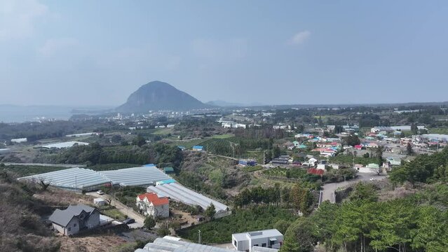 제주 곶자왈도립공원