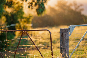 Farm gates bathed in golden afternoon light at sunset