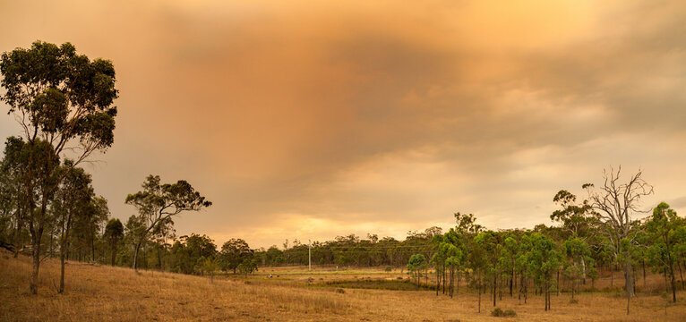 Paddock and sky with an orange glow from smoke haze from bushfire