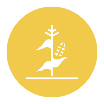 recommend clip art: Cornstalks icon vector image. Can be used for Festa Junina.