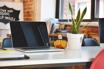 A laptop and a potted plant stand on a white table in the office
