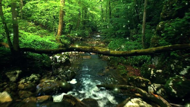 Backwards flight above forest river with flying fireflies.