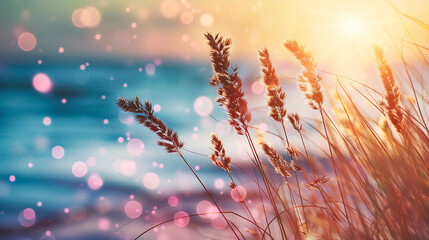 Sunset on the grass with dew drops and bokeh - obrazy, fototapety, plakaty