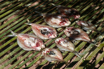 Sun-dried mineral river fish on a bamboo rack To preserve food, we make dried fish to eat. Preserving food of forest villagers