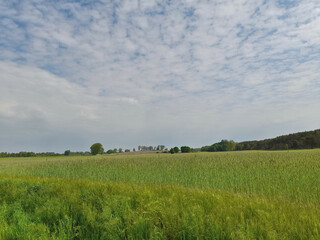 Weite Wiese am Havelradweg