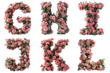  Carnation Alphabet Display: Pink carnations forming letters G, H, I, J, K, L on transparent background