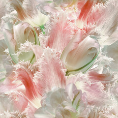 Seamless  pink  floral  background. Flowers tulips and petals. Close up. - 759682037