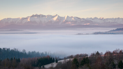 Fototapeta premium Landscape in the morning. There is fog in the valley. View of the Tatra Mountains from the Pieniny Mountain Range
