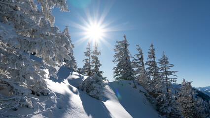 Sun shine in a winter wonder land with a lot of snow in the Alps