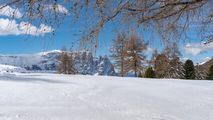 Dolomite Schlern mountain in the winter as seen from the Seiser Alm