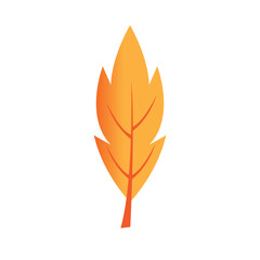 set of autumn leaves