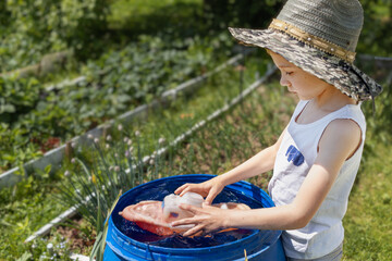 Boy in big hat playing with water and ship in garden barrel on sunny summer day at a summer...