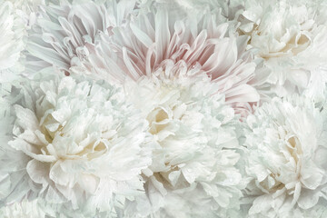 Seamless floral  background. Flowers peonies and petals peonies. Close up. - 759705409