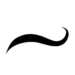 Beautiful of decorative swirls and ornaments for your design vector illustration