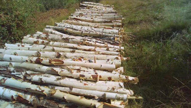 Neat rustic woodpile of chopped birch firewood logs stacked in the backyard or countryside. Textures of birch bark, timber storage for winter heating and fireplace comfort.