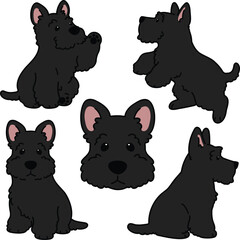 Simple and adorable black Scottish Terrier illustrations