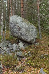Weathered quartzite boulder in forest, Tiirasmaa nature reserve in autumn, Hollola, Finland. © Raimo Bergroth