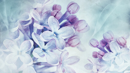 Floral spring background.  Vintage watercolor background of lilac flowers.  Close-up. .Lilac bunch.