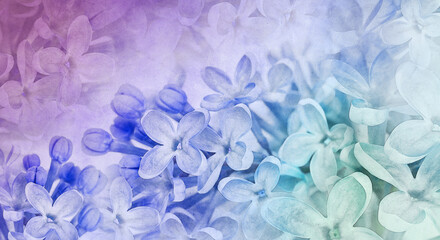 Floral spring background.  Vintage watercolor background of lilac flowers.  Close-up. .Lilac bunch.