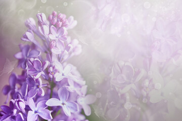 Floral  watercolor  spring background. Background of lilac flowers. A postcard for a holiday, anniversary, celebration. Nature. - 759711673