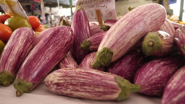 Eggplants Galore at the Local Italian Stall