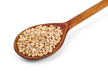Barley groats on a wooden spoon, isolated on white background.