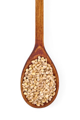 Barley groats on a wooden spoon, isolated on white background.