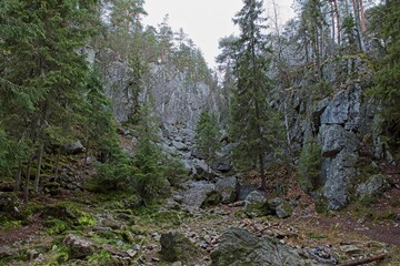 Pirunpesä (Devil´s Nest) is a gorge cutting through the quartzite bedrock at Tiirasmaa nature reserve, Hollola, Finland.