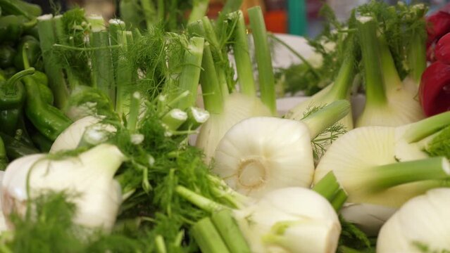 Fresh Fennel Bulbs at the Heart of Italian Market