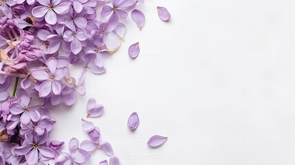 Fototapeta na wymiar Spring banner with copy space for text. Tender purple lilac flowers, petals on white background. Lovely spring composition. Seasonal blossom mockup. Natural floral template. Flat lay, top view