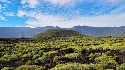 Volcanic landscape at Badlands or Malpais de Guimar special nature reserve, Tenerife, Canary Islands