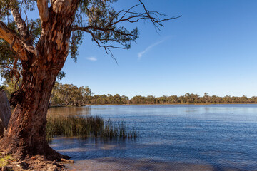 Obraz premium Lake Moodemere, Victoria, Australia