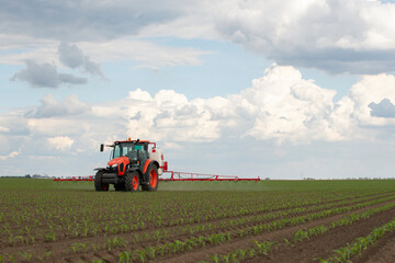 Obraz premium Tractor spraying pesticides at corn fields