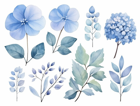 Blue flowers and sage green leaves on white background. Watercolor boho clipart.