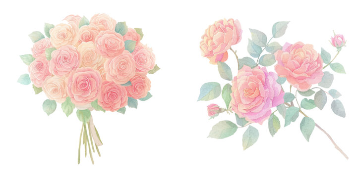 cute bouqet of rose watercolour vector illustration