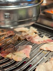 Grilled Meat BBQ Lunch