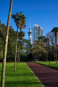 A sunny morning with bright blue sky in Auckland's Albert park, New Zealand