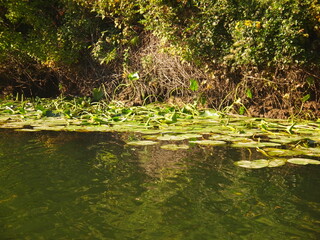Veleka River (Strandzha Nature Park, Burgas Province, Republic of Bulgaria)