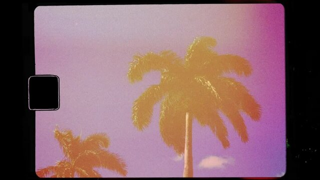 Palm tree in sun on handheld super 8 vintage film frame with sprocket, sun flare, light leak and filmstrip noise	