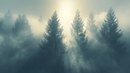 A minimalist photograph of a misty forest, with tall trees fading into the fog and soft - obrazy, fototapety, plakaty