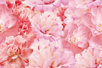 Seamless floral  background. Flowers peonies and petals peonies. Close up.