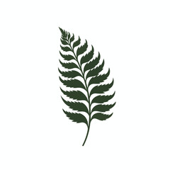 New zealand fern logo vector. flat vector illustrat