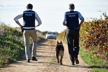 Policeman, dog and walk in field for crime scene or robbery with car for search, safety and law enforcement. Detective, investigation and uniform in outdoor working at countryside with gravel road